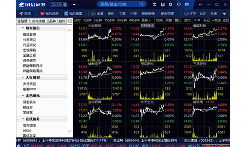 国信证券金太阳网上交易专业版 8.28
